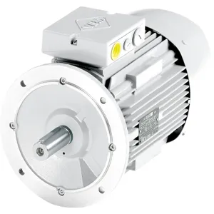 0,75kW/1000rpm B5 FF IE2-W21R 90 S 6  220 - 240V