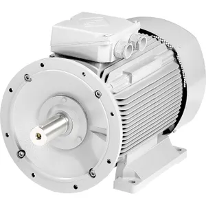 0,75kW/1000rpm B35 IE2-W21R 90 S6  220 - 240V